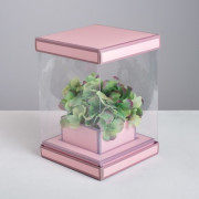 Коробка - аквариум для мыльных композиций "Вдохновение"