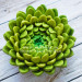 3D Форма силиконовая "Хризантема Green большая"  (предварительный заказ)