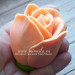 3D Форма силиконовая "Роза Голландская"  (предварительный заказ)