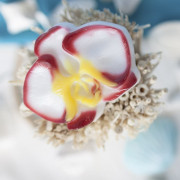 Пластиковая форма "Цветок орхидеи"