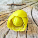 3D Форма силиконовая "Тюльпан нежный" (предварительный заказ)