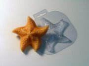 Пластиковая форма "Морская звезда большая"