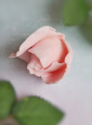 3D Форма силиконовая "Бутон розы Paradise № 9" (предварительный заказ)