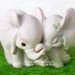 3D силиконовая форма "Влюбленные слонята"