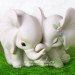 3D силиконовая форма "Влюбленные слонята" (предварительный заказ)