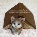 3D Форма силиконовая "Котёнок с книгой"( предварительный заказ)