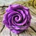 3D Форма силиконовая "Роза Lavender" 