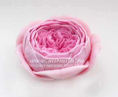 3D Форма силиконовая "Пионовидная роза"