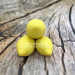 3D Форма силиконовая "Тройник лимонов №2" (предварительный заказ)
