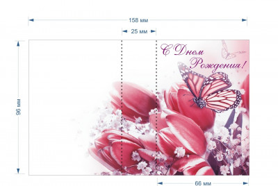 Открытка-обложка "С Днём Рождения! Тюльпаны и бабочка"