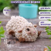 Форма силиконовая "Овечка отдыхает" (предварительный заказ)