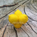 3D Форма силиконовая "Тройник лимонов №1" (предварительный заказ)