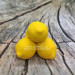 3D Форма силиконовая "Тройник лимонов №1" (предварительный заказ)
