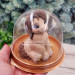 3D Форма силиконовая "Конь Хорсик" (предварительный заказ)
