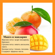 Отдушка свечная Манго и мандарин (США), 10 мл