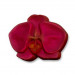 Пластиковая форма "Цветок орхидеи"