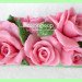 2D Форма силиконовая "Розы под нарезку" (предварительный заказ)