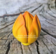 3D Форма силиконовая "Тюльпан Orange Flame средний" 4 на форме(предварительный заказ)