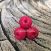 3D Форма силиконовая "Тройник вишни малый"