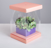 Коробка - аквариум для мыльных букетов "С любовью" персиковая