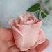 3D Форма силиконовая "Роза Paradise № 12" (предварительный заказ)