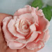3D Форма силиконовая "Роза Paradise № 5"