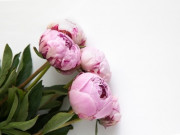 Отдушка Пион, 100 мл