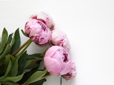 Отдушка Пион, 100 мл