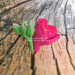 3D Форма силиконовая "Фрезия - один цветок с бутонами"