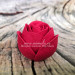 3D Форма силиконовая "Роза с прожилками"