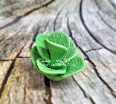 3D Форма силиконовая " Соцветие листьев эвкалипта №3"