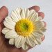 3D Форма силиконовая "Ромашка садовая"