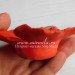 3D Форма силиконовая "Цветок гибискуса"