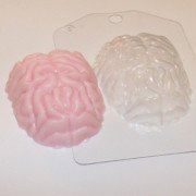 Пластиковая форма "Мозг"