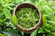Гидролат Зеленый чай, 100 мл