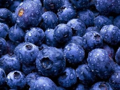 Отдушка Черника, 250 мл